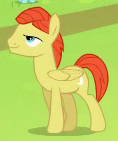 Size: 118x141 | Tagged: safe, derpibooru import, screencap, unnamed pony, pegasus, pony, rainbow falls, background pony, cropped, male, stallion