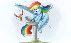 Size: 3000x1818 | Tagged: safe, artist:ncmares, derpibooru import, rainbow dash, bird, pegasus, pony, angry, behaving like a bird, birb, bird bath, chest fluff, feather, female, floppy ears, fluffy, frown, glare, gradient background, image, jpeg, majestic as fuck, mare, nose wrinkle, open mouth, partially open wings, simple background, sitting, spread wings, underhoof, white background, wide eyes, wings