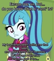 Size: 531x600 | Tagged: semi-grimdark, derpibooru import, edit, sonata dusk, equestria girls, abusive relationship, cunt, image macro, implications, implied abuse, insult, meme, naive, solo, sonatabuse, the implications are horrible, vulgar