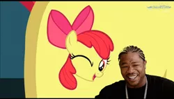 Size: 1502x862 | Tagged: apple bloom, bloom and gloom, cutie mark, derpibooru import, meme, safe, screencap, xzibit, yo dawg