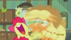 Size: 936x524 | Tagged: safe, derpibooru import, screencap, apple bloom, applejack, bloom and gloom, open mouth, shaking, volumetric mouth