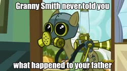 Size: 960x540 | Tagged: safe, derpibooru import, edit, edited screencap, screencap, max raid, earth pony, pony, bloom and gloom, cropped, darth vader, image macro, meme, pest control pony, pest pony, reference, solo, star wars