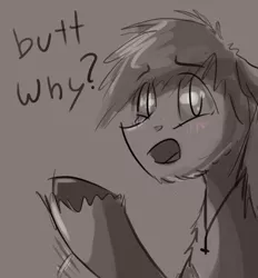 Size: 500x538 | Tagged: artist:gaypyjamas, ask, blushing, butts, but why, derpibooru import, floppy ears, looking at you, monochrome, necklace, oc, open mouth, safe, solo, tumblr, unofficial characters only, unshorn fetlocks, why