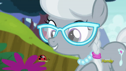 Size: 640x360 | Tagged: animated, bloom and gloom, cute, derpibooru import, ladybug, safe, screencap, silverbetes, silver spoon, solo, will you be my friend
