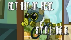 Size: 1366x768 | Tagged: safe, derpibooru import, edit, edited screencap, screencap, max raid, earth pony, pony, bloom and gloom, caption, cropped, gas mask, get out of here stalker, image macro, meme, pest control gear, s.t.a.l.k.e.r., scene interpretation, solo