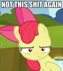 Size: 635x721 | Tagged: apple bloom, bloom and gloom, caption, derpibooru import, image macro, meme, not this shit again, reaction image, safe, screencap, solo, vulgar