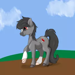 Size: 9600x9600 | Tagged: safe, artist:littlewolfstudios, derpibooru import, oc, oc:fixer upper, unofficial characters only, pony, absurd resolution, male, solo, stallion, underhoof