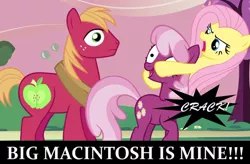 Size: 680x445 | Tagged: semi-grimdark, derpibooru import, big macintosh, cheerilee, fluttershy, cheerimac, fluttermac, male, murder, neck snap, shipping, shipping denied, straight, text, yandere