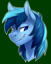 Size: 1024x1280 | Tagged: safe, artist:duskyamore, derpibooru import, oc, oc:umami stale, unofficial characters only, pony, grin, looking away, male, portrait, solo, stallion