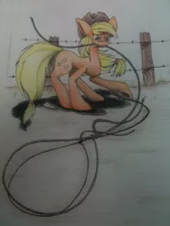 Size: 1024x1365 | Tagged: applejack, artist:komainumidoriyama, barb wire, derpibooru import, fence, mouth hold, rope, safe, solo, traditional art