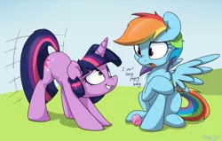 Size: 900x573 | Tagged: dead source, safe, artist:mistydash, derpibooru import, rainbow dash, twilight sparkle, pegasus, pony, unicorn, ball, behaving like a dog, butt shake, dialogue, duo, female, frown, grin, looking at each other, mare, needs more jpeg, nose wrinkle, open mouth, plot, sitting, smiling, spread wings, stupid sexy twilight, tail wag
