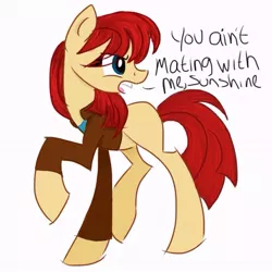 Size: 640x640 | Tagged: artist:tenrose, clothes, derpibooru import, doctor who, donna noble, ponified, safe