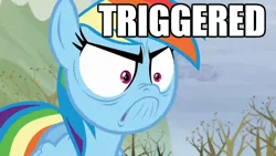 Size: 640x360 | Tagged: safe, derpibooru import, screencap, rainbow dash, tanks for the memories, angry, do i look angry, image macro, meme, solo, triggered