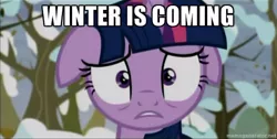 Size: 500x251 | Tagged: safe, derpibooru import, screencap, twilight sparkle, alicorn, tanks for the memories, brace yourselves, floppy ears, game of thrones, larson you magnificent bastard, meme, snow, solo, thanks m.a. larson, tree, twilight sparkle (alicorn), twilight starkle, winter is coming