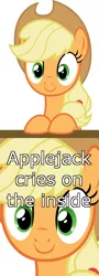 Size: 1600x4452 | Tagged: applejack, applejack cries on the inside, crying inside, derpibooru import, safe, solo, tanks for the memories