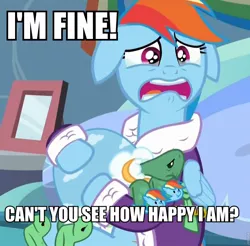 Size: 960x946 | Tagged: bathrobe, clothes, crying, dashie slippers, denial, depression dash, derpibooru import, image macro, meme, rainbow dash, robe, sad, safe, screencap, tank, tanks for the memories, tank slippers