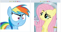 Size: 514x273 | Tagged: safe, derpibooru import, fluttershy, rainbow dash, derpibooru, exploitable meme, juxtaposition, juxtaposition win, meme, meta