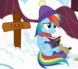 Size: 1203x1066 | Tagged: safe, derpibooru import, edit, screencap, daring do, rainbow dash, tank, pegasus, pony, tanks for the memories, book, cross, female, grave, implied death, mare, solo, we are going to hell