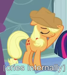 Size: 355x401 | Tagged: applejack, applejack cries on the inside, crying inside, derpibooru import, descriptive noise, image macro, meme, safe, screencap, tanks for the memories, unhapplejack, x internally