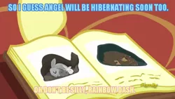 Size: 640x360 | Tagged: angel bunny, bear, blue text, book, caption, derpibooru import, discovery family logo, edit, edited screencap, fluttershy, hibernation, image macro, meme, rabbit, rainbow dash, safe, screencap, tanks for the memories