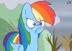 Size: 7016x4961 | Tagged: absurd resolution, angry, artist:lrusu, derpibooru import, do i look angry, rainbow dash, safe, scene interpretation, solo, tanks for the memories