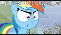 Size: 1024x600 | Tagged: derpibooru import, do i look angry, image macro, meme, rainbow dash, safe, screencap, tanks for the memories, vulgar, you think this is a motherfucking game