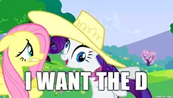 Size: 610x343 | Tagged: caption, derp, derpibooru import, edit, edited screencap, fluttershy, image macro, meme, rarity, screencap, suggestive, the d