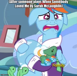 Size: 490x482 | Tagged: clothes, dashie slippers, depression dash, derpibooru import, image macro, meme, rainbow dash, sad, safe, sarah mclaughlin, tank, tanks for the memories, tank slippers, toy story, toy story 2, when she loved me