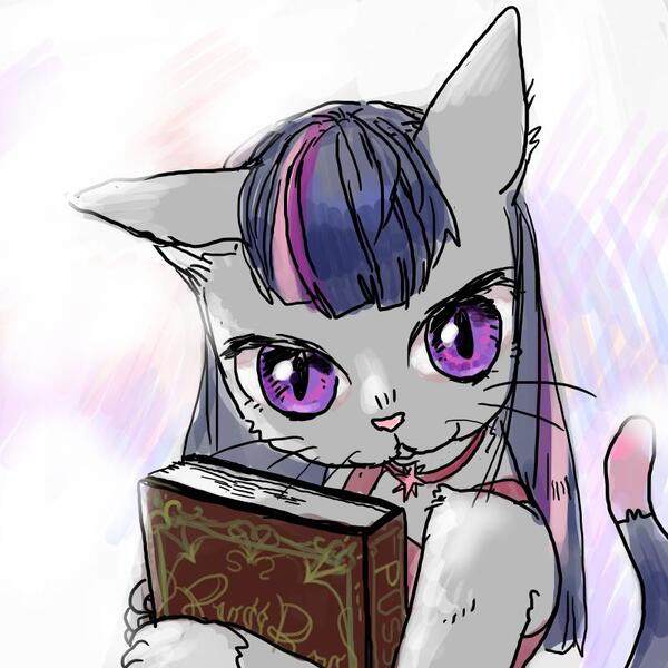 Size: 800x800 | Tagged: artist:han_hyui, book, cat, derpibooru import, safe, solo, species swap, twilight cat, twilight sparkle