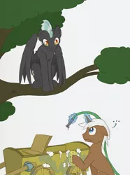 Size: 741x998 | Tagged: safe, artist:ravenpuff, deleted from derpibooru, derpibooru import, mochaccino, rare find, thunderlane, earth pony, pegasus, pony, ..., behaving like a bird, cart, cute, floppy ears, frown, hose, looking down, magic, male, sitting, sitting in a tree, stallion, telekinesis, thunderbetes, tree, wide eyes