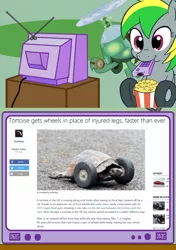 Size: 564x800 | Tagged: derpibooru import, exploitable meme, meme, news, obligatory pony, oc, oc:wheely bopper, original species, safe, tank, tortoise, tv meme, wheelpone