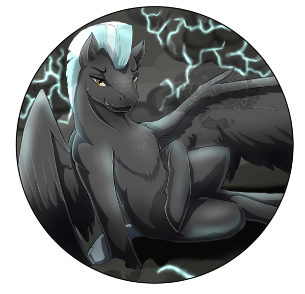 Size: 1260x1216 | Tagged: safe, artist:kuroleopard, derpibooru import, thunderlane, pegasus, pony, cloud, lightning, looking at you, male, sitting, solo, stallion, watermark