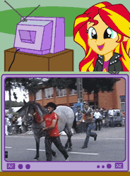 Size: 500x680 | Tagged: safe, derpibooru import, sunset shimmer, horse, human, equestria girls, animated, bucking, exploitable meme, horses doing horse things, irl horse, kicking, meme, obligatory pony, rekt, schadenfreude, this ended in pain, too dumb to live, tv meme, video at source, youtube link