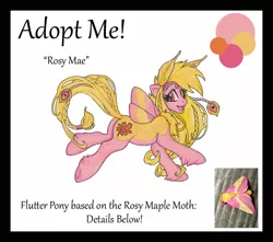 Size: 936x828 | Tagged: safe, artist:luthiennightwolf, derpibooru import, oc, unofficial characters only, flutter pony, moth, adoptable, auction, g1, rosy maple moth, solo, traditional art