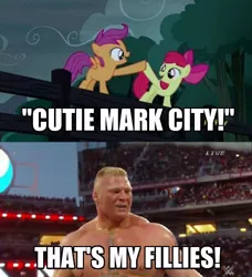 Size: 456x500 | Tagged: apple bloom, brock lesnar, cutie mark city, derpibooru import, image macro, meme, safe, scootaloo, suplex city, wwe