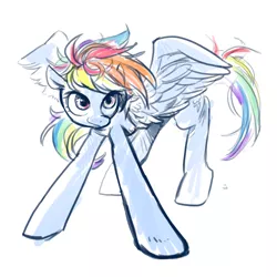 Size: 1000x1000 | Tagged: artist:han_hyui, derpibooru import, rainbow dash, safe, solo