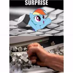 Size: 540x540 | Tagged: safe, derpibooru import, rainbow dash, human, pegasus, pony, abuse, abusive human, cute, dashabetes, dashabuse, female, fist, funny, funny as hell, i hid in your keyboard, image macro, irl, keyboard, mare, meme, open mouth, photo, ponies in real life, punch, smashing, smiling, startled, wat, we are going to hell