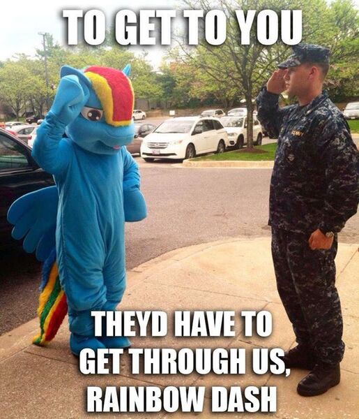 Size: 618x720 | Tagged: derpibooru import, funny, furry, human, irl, irl human, meme, military, military bronies, military uniform, navy, photo, rainbow dash, safe, salute, us navy