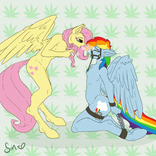 Size: 2000x2000 | Tagged: grimdark, questionable, artist:poisindoodles, derpibooru import, fluttershy, rainbow dash, anthro, unguligrade anthro, bit gag, bondage, bridle, female, flat colors, flutterbitch, flutterdash, gag, lesbian, marijuana, nipple piercing, nipples, nudity, piercing, pubic fluff, second hand smoke, shipping, smoking