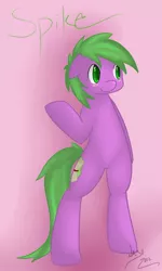 Size: 692x1153 | Tagged: safe, artist:nasuni, derpibooru import, spike, ponified, pony, semi-anthro, bipedal, blushing, cute, daaaaaaaaaaaw, ponified spike, species swap, spikabetes