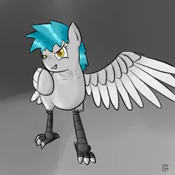 Size: 800x800 | Tagged: artist:happydeadpony, artist:teb, bird, creature, derpibooru import, harpony, harpy, oc, oc:harpoon, original species, safe, solo, unofficial characters only, wings