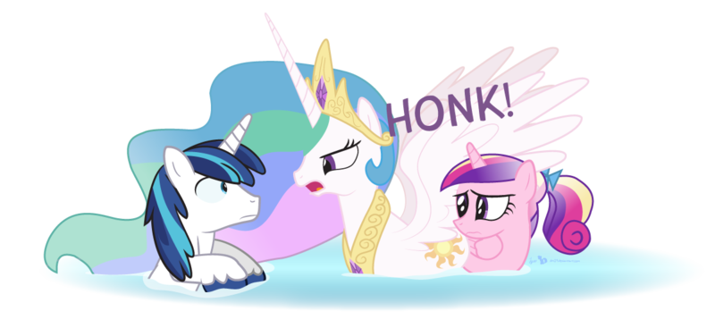 Size: 1200x550 | Tagged: safe, artist:dm29, derpibooru import, princess cadance, princess celestia, shining armor, alicorn, duck pony, pony, unicorn, auntlestia, behaving like a bird, dialogue, eye contact, female, frown, glare, gooselestia, hiding, honk, looking at each other, male, mare, momlestia, open mouth, overprotective, simple background, spread wings, stallion, swanlestia, swimming, teen princess cadance, transparent background, trio, trollestia, water, wavy mouth, wide eyes, wings