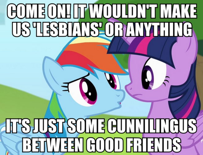 Size: 656x500 | Tagged: questionable, derpibooru import, edit, screencap, rainbow dash, twilight sparkle, twilight sparkle (alicorn), alicorn, pony, female, image macro, lesbian, mare, meme, not lesbian, shipping, twidash