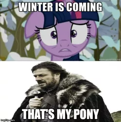 Size: 490x491 | Tagged: safe, derpibooru import, twilight sparkle, twilight sparkle (alicorn), alicorn, pony, unicorn, tanks for the memories, eddard stark, female, floppy ears, game of thrones, image macro, mare, meme, ned stark, that's my pony, that's my x, twilight starkle, winter is coming