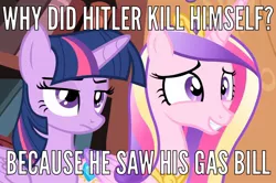 Size: 1446x961 | Tagged: safe, derpibooru import, edit, edited screencap, screencap, princess cadance, twilight sparkle, twilight sparkle (alicorn), alicorn, pony, adolf hitler, caption, female, holocaust joke, image macro, mare, meme