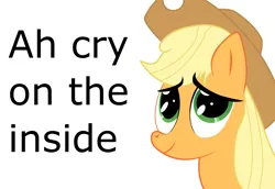 Size: 1022x702 | Tagged: applejack, applejack cries on the inside, artist:flareblitzfury, crying inside, derpibooru import, safe, solo, tanks for the memories, text