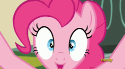 Size: 500x277 | Tagged: animated, breaking the fourth wall, close-up, derpibooru import, discovery family logo, edit, edited screencap, example, excited, fourth wall, fourth wall destruction, he wants all of the cakes, looking at you, loop, make new friends but keep discord, open mouth, pinkie pie, safe, screencap, screen shake, shaking, smiling, solo, volumetric mouth