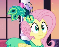 Size: 1275x1017 | Tagged: clothes, cute, derpibooru import, dress, fluttershy, :i, make new friends but keep discord, reaction image, safe, screencap, solo, we bought two cakes