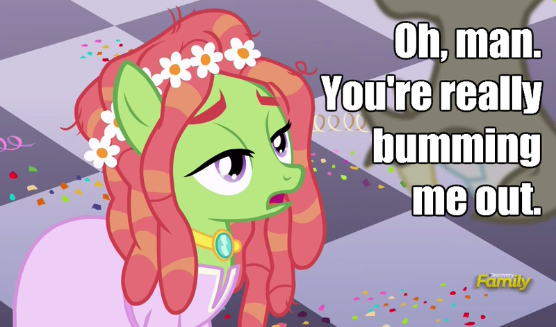 Size: 900x530 | Tagged: safe, derpibooru import, edit, edited screencap, screencap, discord, tree hugger, earth pony, pony, make new friends but keep discord, caption, clothes, confetti, discovery family logo, dress, female, floral head wreath, flower, flower in hair, hippy, image macro, jewelry, male, mare, meme, necklace, open mouth, roasted, solo, text