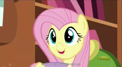 Size: 1281x713 | Tagged: safe, derpibooru import, screencap, fluttershy, pegasus, pony, make new friends but keep discord, cute, female, greece, greek, mare, meme, open mouth, shyabetes, smiling, youtube caption